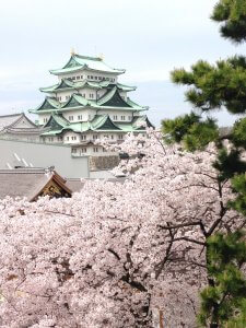名古屋城重要文化財「東南隅櫓」からの光景