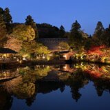 幻想的！東山動植物園の紅葉ライトアップ