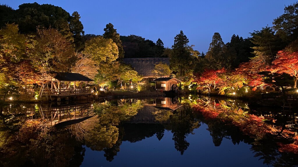 幻想的！東山動植物園の紅葉ライトアップ